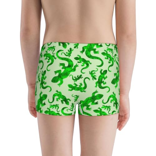 Boys' Cotton Boxer Brief Soft Underwear-Green Lizard3