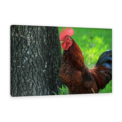 Impression sur toile animaux haut de gamme avec cadre interne bois