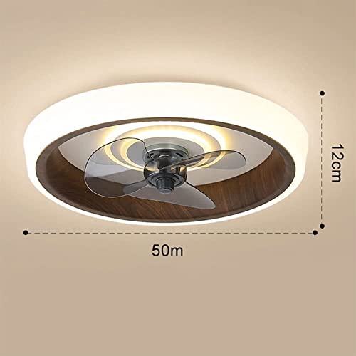 Lustre ventilateur de plafond intelligent 19,7 pouces à intensité variable