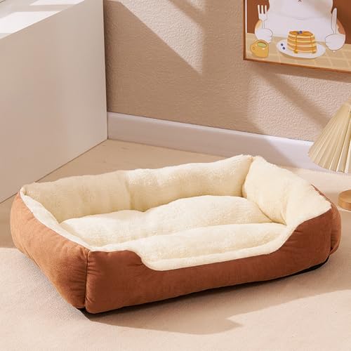 [ADSNS] ybgxbh Lpxbh H~p h_j NbV RۖhL tďH~ 􂦂 J[2 ӂӂ 50*39 ~ߕt ÓdCh~ XNGA^ L ΍ q Lp Q ybg\t@ ~ @\ g }bg 􂦂