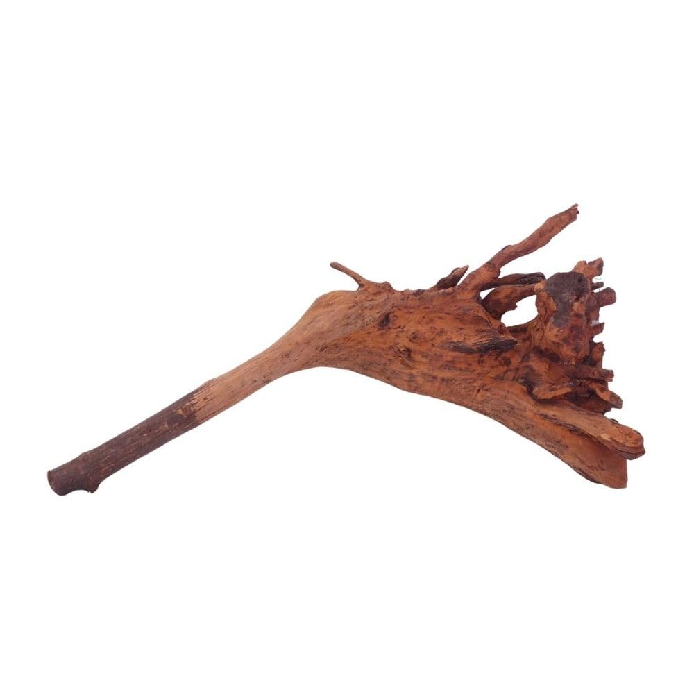 AquaOne Aquarium Wurzel M Jungle Wood Nr.4490 Aquarium Wurzel Holz Deko Aquascaping Dekoration Landschaft Moos Natur Echtholz