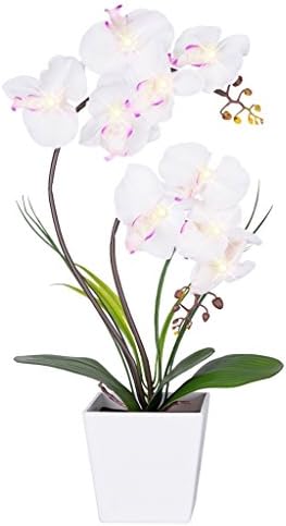 HOMESEASONS Pre-Lit Artificial Orchid Arrangement, LED Orchid Plant with 9 Lights (White, No Timer Function)