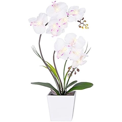 HOMESEASONS Homeseaons Orchid Lamp-LED Lighted Orchid Arrangements,Pre Lit Artificial Orchid,Light Up Flower Lights, Faux Orchid Phalaenopsis Arrangement (White) Cover