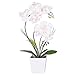 HOMESEASONS LED Lighted Artificial Phalaenopsis Orchid Arrangement with 9 Lights,White