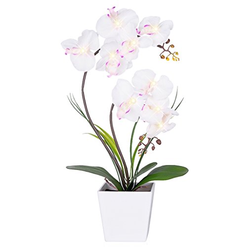 HOMESEASONS Orchid Lamp-LED Lighted Orchid Arrangements,Pre Lit Artificial Orchid,Light Up Flower Lights, Faux Orchid Phalaenopsis Arrangement (White)