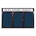36"H x 72"W Outdoor/Indoor Headliner Bulletin Board, With 6" Non-Lighted White Acrylic Header, 3 Doors, Bronze Aluminum Frame Finish, Navy Vinyl Surface