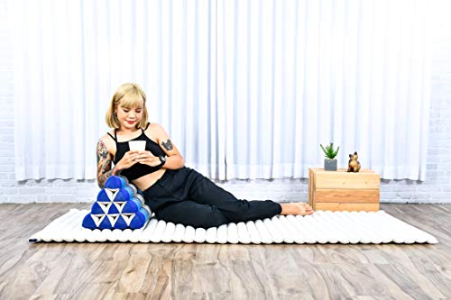 Image of Leewadee Triangle Cushion - Comfortable Backrest for TV or Reading, Incline Pillow for Relaxing Made of Kapok, 20 x 13 x 13 inches, Blue