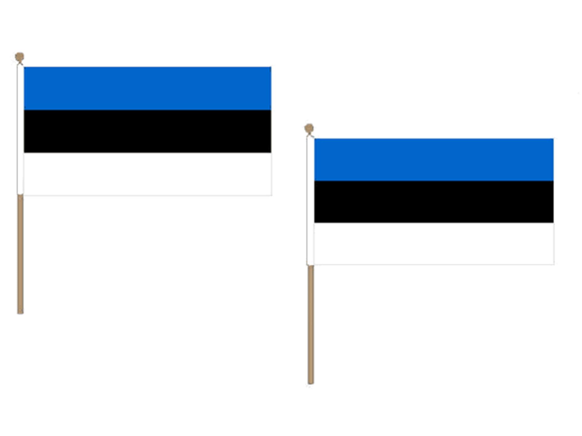 Drapeau Estonie 45x30cm avec hampe en bois lot de 10 pièces