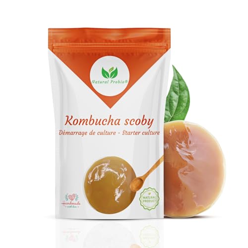 Natural Probio® Original Kombucha Scoby - Kit de démarrage de Culture - Mere de Kombucha de souche Authentique + Notice complète, Recette et Conseils + Accès Ebook offert