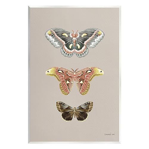 Image of Vintage Moth Specimens, 10 x 15 Inch Mounted Print on Wall Plaque
