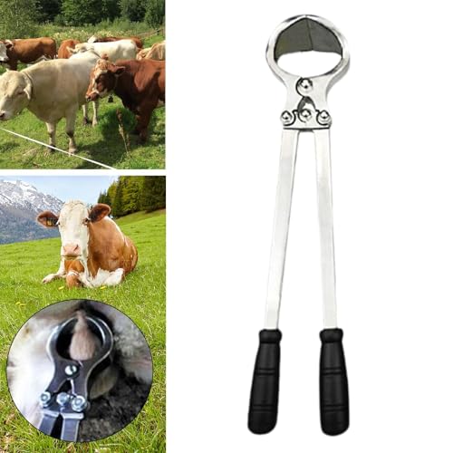 Pince castration animaux outil élevage pour le soin quotidien du bétail - 6
