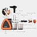 Masticating Juicer, Keenstone Cold Press Slow Juicer with Stainless Steel Filter, 7 Segment Spiral, Reverse Function and Quiet Motor, Orange