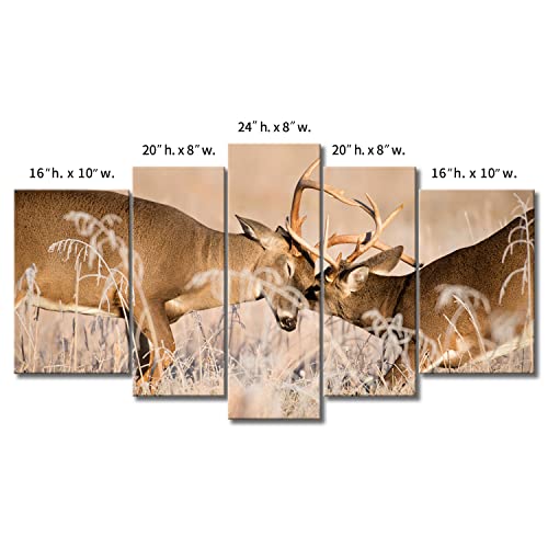 5 Panel Wall Art White Tailed Deer Bucks Sparring Painting Pictures Print On Canvas Animal The Picture For Home Modern Decoration Piece (Stretched By Wooden Frame,Ready To Hang) #TOP6