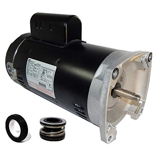 Puri Tech Swimming Pool Pump Motor and Seal Replacement Kit for 2.5hp Century USQ1252 Motor and PS-100 Seal