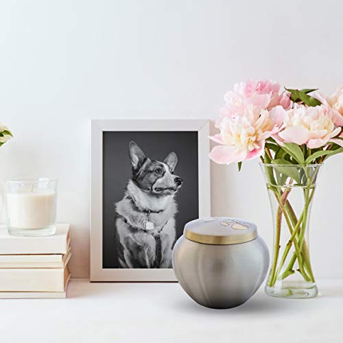 Best Friend Services Pet Urn - Memorial Cremation Pet Urns For Dog And Cat Ashes, Hand Carved Mia Series Urn For Pets Up To 25 Lbs (Small, Pewter, Double Brass Paws) #TOP3