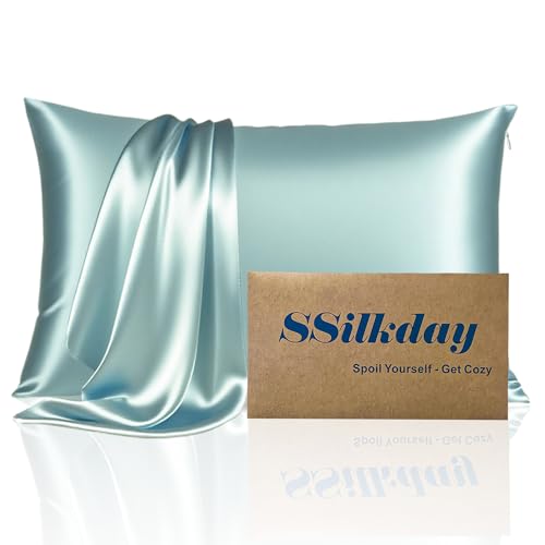 Mulberry Silk Pillow Cases with Zipper, Ultra Smooth Soft Breathable Cooling Pillow Cases for Hot Sleepers, Silk Satin Pillowcase for Hair and Skin, Gifts for Women (Haze Blue, Queen Size, 1 Pack)