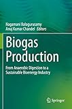 Biogas Production: From Anaerobic Digestion to a Sustainable Bioenergy Industry