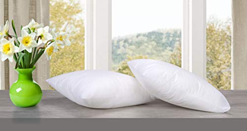 Ramanta-Home-Throw-Pillow-Insert-16×16-Inches-Set-of-2-Premium-Sham-Stuffer-White-Pillow-Inserts-for-Couch-and-Bed Ramanta Home Throw Pillow Insert 16×16 Inches Set of 2 Premium Sham Stuffer White Pillow Inserts for Couch and Bed
