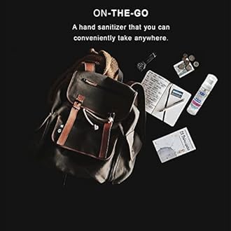 Foaming Hand Sanitizer, Alcohol Free and Fragrance Free, Kills 99.9% Germs, Moisturizing Formula, Travel Size 2.5 oz (3 Pack)