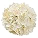 Flojery Silk Hydrangea Heads Artificial Flowers Heads with Stems for Home Wedding Decor,Pack of 10 (Champagne)