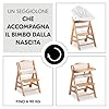hauck Beta+, Naturale - Kit Seggiolone Pappa con Ruote, Vassoio, Barra Protettiva, Cuscino di Seduta, Cintura a 5 Punti e Cinturina Inguinale - per Bambini 6 Mesi fino a 90 kg - Legno di Faggio