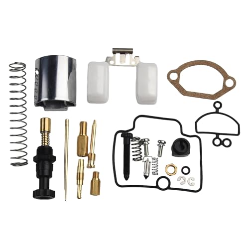 Kit de réparation carburateur 28 mm et 30 mm pour l'entretien hivernage