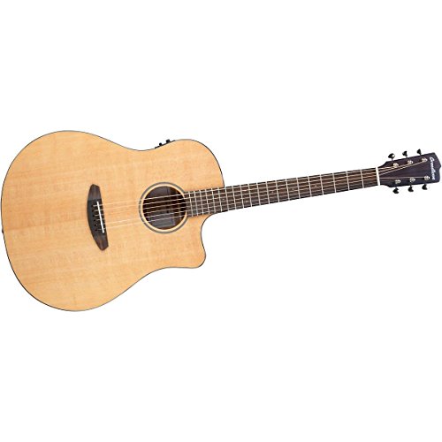 Breedlove Pursuit Dreadnought