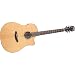 Breedlove Pursuit Dreadnought
