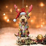Swavecat Airedale Terrier Décoration à suspendre pour sapin de Noël Airedale Terrier Lanternes de Noël Bois de Noël Acrylique Souvenir Impression double face 2D Décoration amusante 10,2 cm