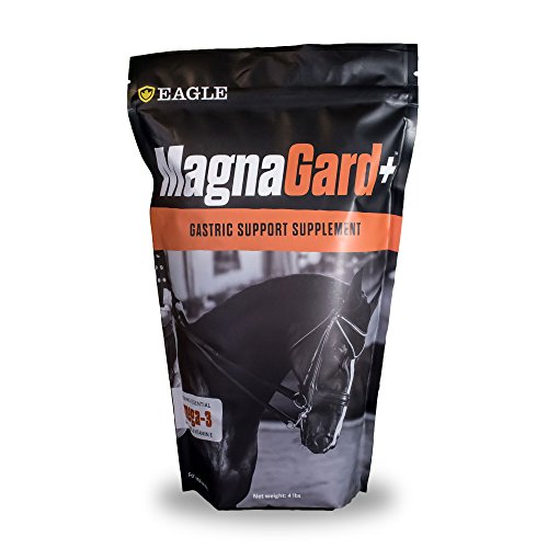 MagnaGard PLUS Gastric Support Supplement for Horses with Omega 3s, 4 lbs