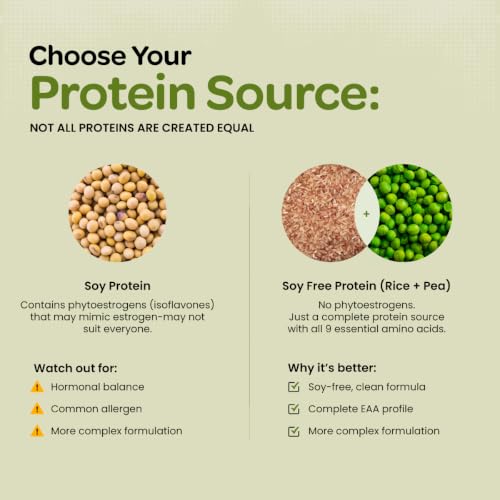Image of Bigmuscles Nutrition Clean Plant Protein | 25g Pea & Rice Protein Isolate Per Serve (1kg, Chocolate Noir) | Complete Amino Acid Profile | Easy Digestion & Non-Chalky