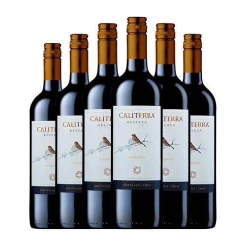 Vina Caliterra Carmenère Valle de Colchagua Reserva 75 cl Vino tinto (Caja de 6 Botellas de 75 cl)