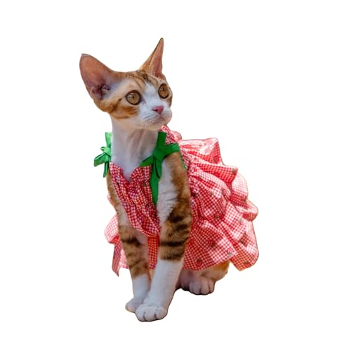 Robe pour chat Sphynx Devon Rex vêtement coton respirant M+ - 2
