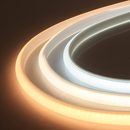 HEGEHE Tiras de Neón Iluminación Flexible, 288 LED/m Tira de LED COB con 220V Alimentación, Cada Corte de 50 cm, IP65 Impermeable, Alto brillo Luz de Cuerda (2m, Blanco Frio) Cover