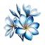 Plumeria Blue