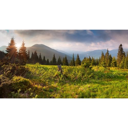 Mountain Backdrop Spring Natural Scenery Photography Background Mountains Trees Green Grass Foggy Misty Forest Jungle Sunshine Pine Tree Backdrop for Adults Portraits Photo Studio Props 7x5ft