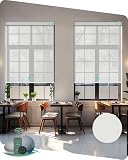 Yoolax Smart Solar Motorized Shades