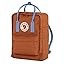 Teracotta Brown/Ultramarine Teracotta Brown/Ultramarine