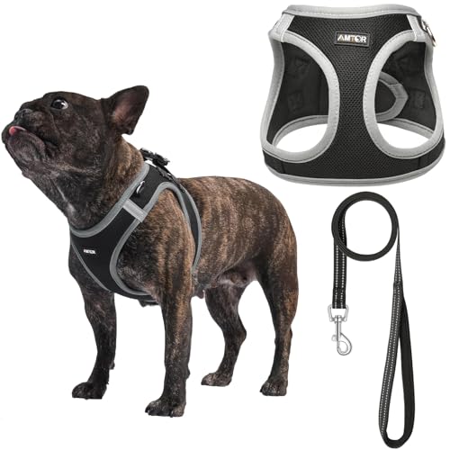 AMTOR Small Dog Harness with Leash Set, No Escape Easy Walk Puppy Harnesses for Training Walking, Step-in Reflective Soft Dogs Vest for XS S Medium Extra-Small Large Sized Dog(Black/Grey,M)