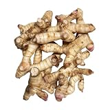ガランガル カー 1kg