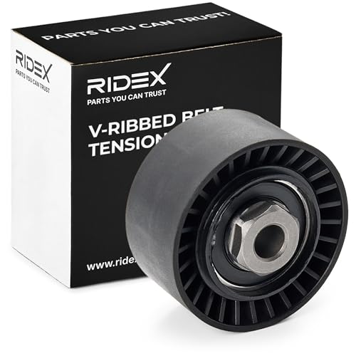 Galet tendeur RIDEX 541V0025 pour supprimer le sifflement de courroie Clio III
