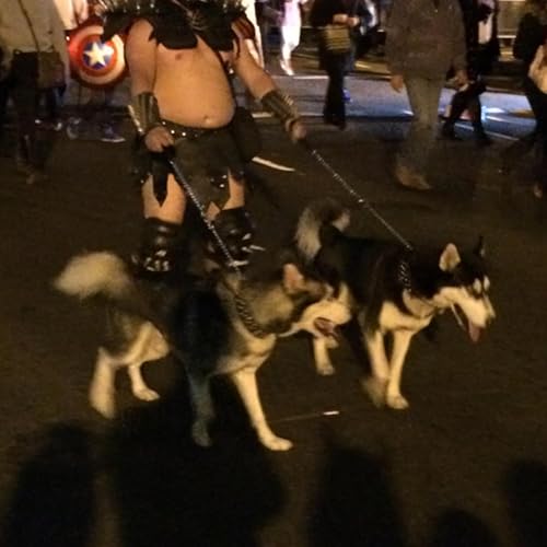 『海外派令劇場-第六十六集- 剛到國外的準備/同學家小聚會/職場人生如戲11-懷念的大廚/指通-賽車中文電影/記憶中的萬聖節』のカバーアート