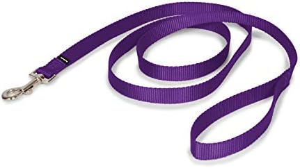 PetSafe Nylon Dog Leash - Strong, Durable, Traditional Style Leash with Easy to Use Bolt Snap - 3/4 in. x 6 ft., Deep Purple