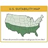 Brownie Brand Majestic Hulled Bermudagrass Seed | Premium Turf Grass for Dense, Drought-Resistant Lawns | Fast-Growing, Heat-Tolerant, Certified Seed for High-Traffic Areas. (5 Pound)