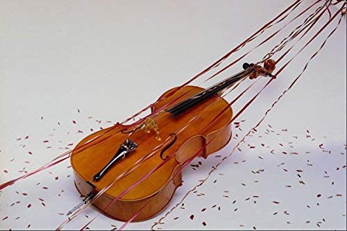 Funny Vintage Metal Wall Tin Sign 12x16in,Violin Sign,Metal Plaque Warning Sign Iron Painting Art Decor for Bar Cafe Garden Bedroom Office Hotel