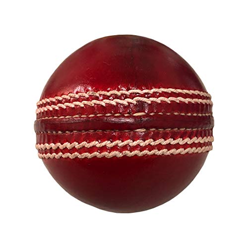 Hat Shark Mini Toy Wooden Signature Cricket Bat and Red Leather Cricket Ball Set with Custom Customized Engraving Personalized Gift