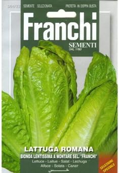 Amazon Co Jp 西洋野菜 種 ロメインレタス ビオンダ レンタ モンターレ Diy 工具 ガーデン