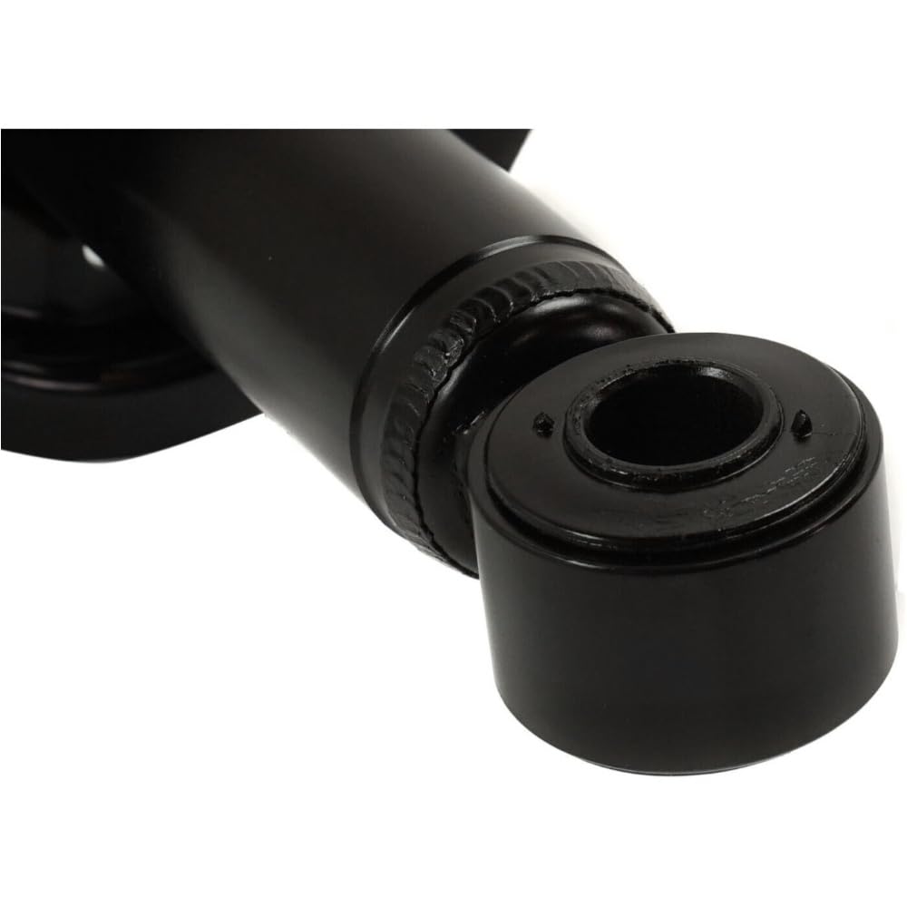 Amazon.com: CPWYAXG Rear Left Right Side Shock Absorber and Strut 