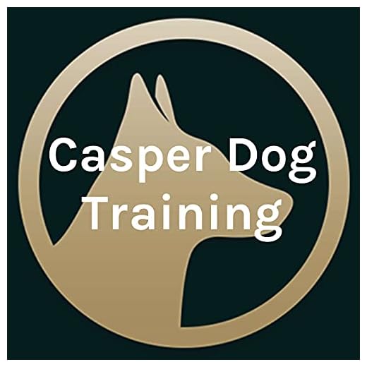 Casper Dog Training