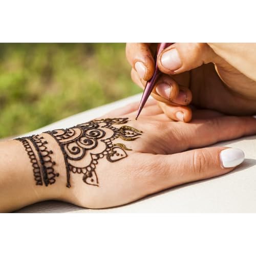 Golecha 100 % natürliche Hennapaste Kegel (Rot-Braun) 6er-Pack (je 25 g)